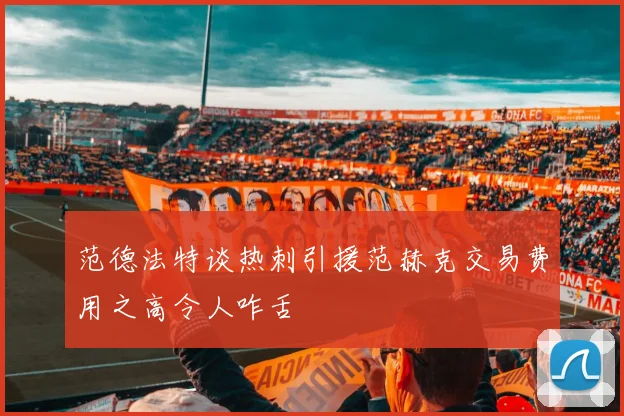 范德法特谈热刺引援范赫克交易费用之高令人咋舌