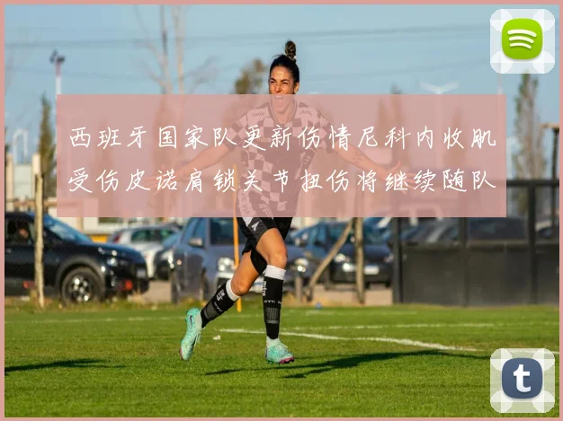 西班牙国家队更新伤情尼科内收肌受伤皮诺肩锁关节扭伤将继续随队训练